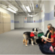 Reading Education Assistance Dogs (R.E.A.D.®) at work in East Helena